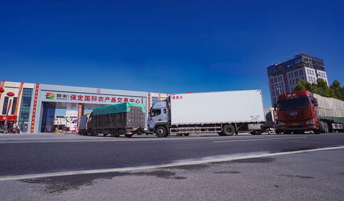 保定國際農產品交易中心為區域民生保供提供有力支撐