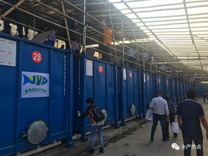 集裝箱養殖要火了嗎 各地的水產站都來觀摩,還成立了聯盟,或將又是一個新風口